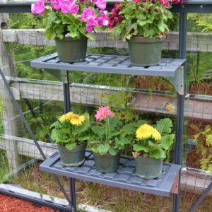 Palram Greenhouses Accessories Twin Shelf Kit Main 8