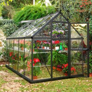 Palram Greenhouses Harmony 6x10 Grey Main 2