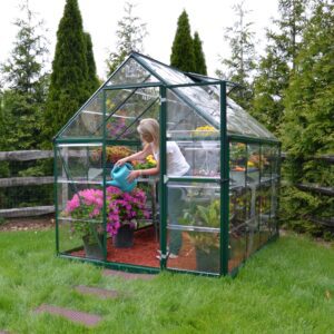 Palram Greenhouses Harmony 6x8 Green Main 3