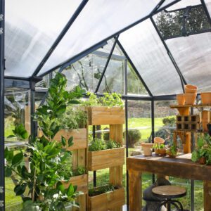 Palram Greenhouses Victory Orangery Reinforcement Spacious