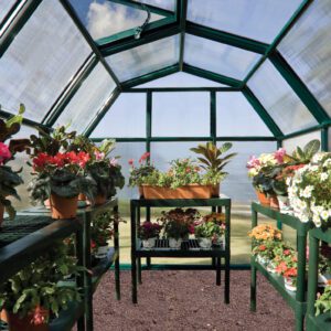 Palram Greenhouses EcoGrow Green Iinside