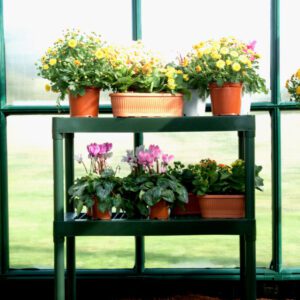 Palram Rion Greenhouses Accessories Two Tier Staging 01
