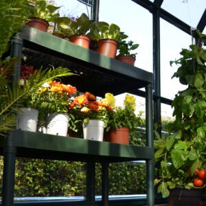 Palram Rion Greenhouses Accessories Two Tier Staging 02