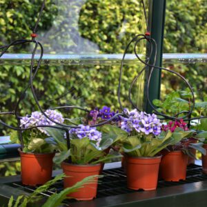 Palram Rion Greenhouses Accessories Two Tier Staging 05