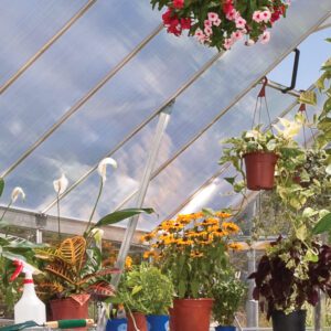 Palram Greenhouses Balance 8x12 Silver Reinforcement