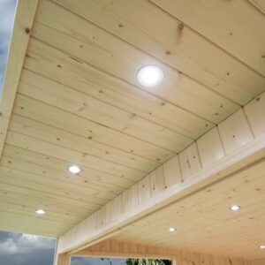 Exterior Downlights